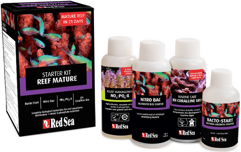 Reef Mature Starter Kit