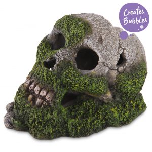 Bubbling Skull With Moss