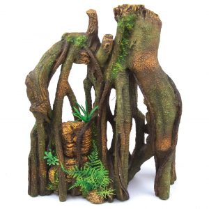 Jungle Root With Plants