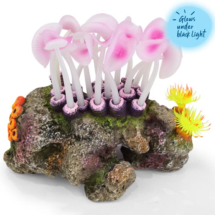 Mushroom Coral On Rock – Medium