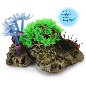 Soft Coral With Sea Urchin – Medium