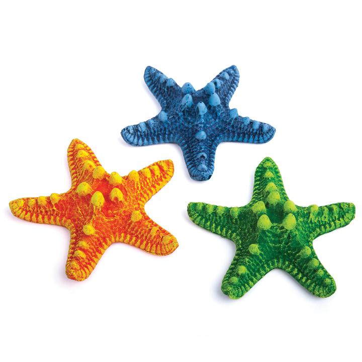 Starfish – 3 Pack Small