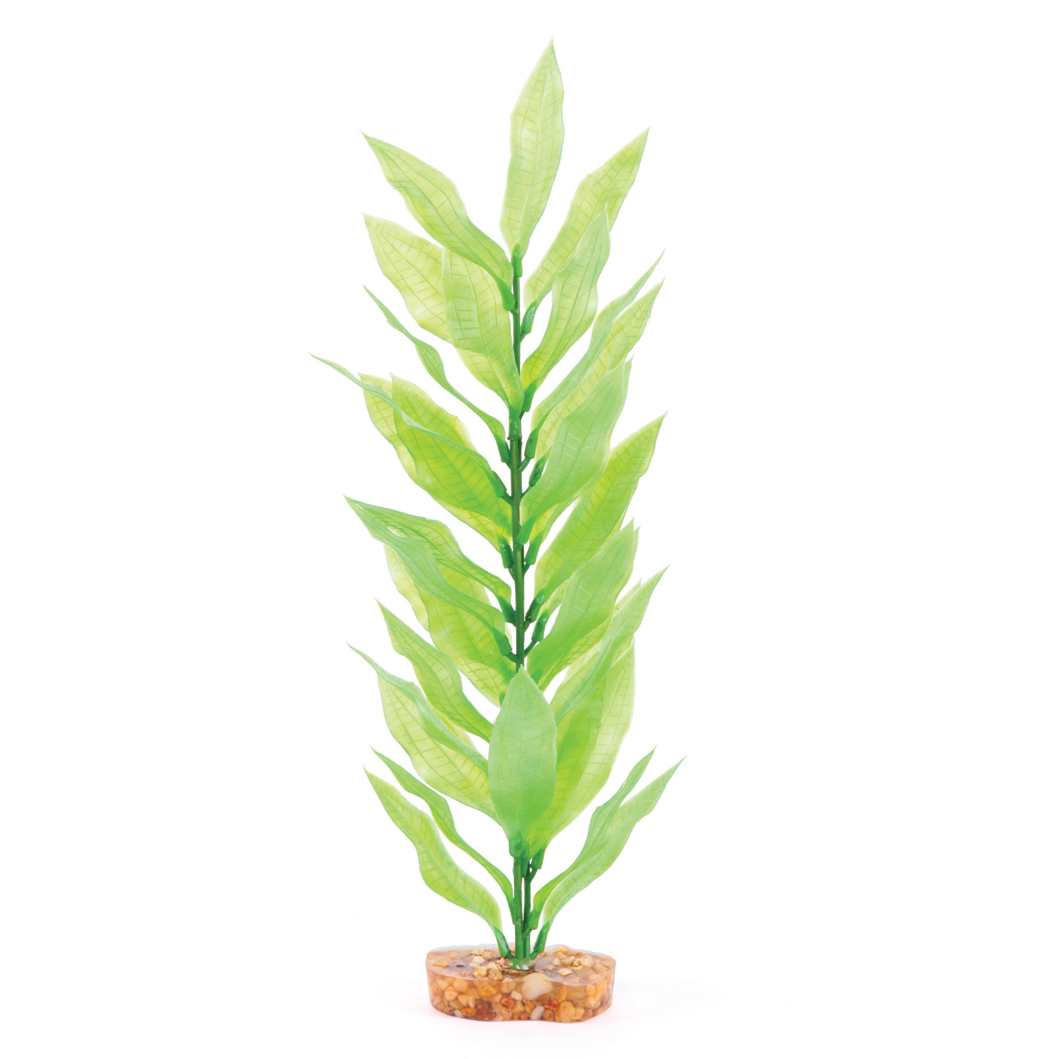 Decorative Plant – Long Leaf Green