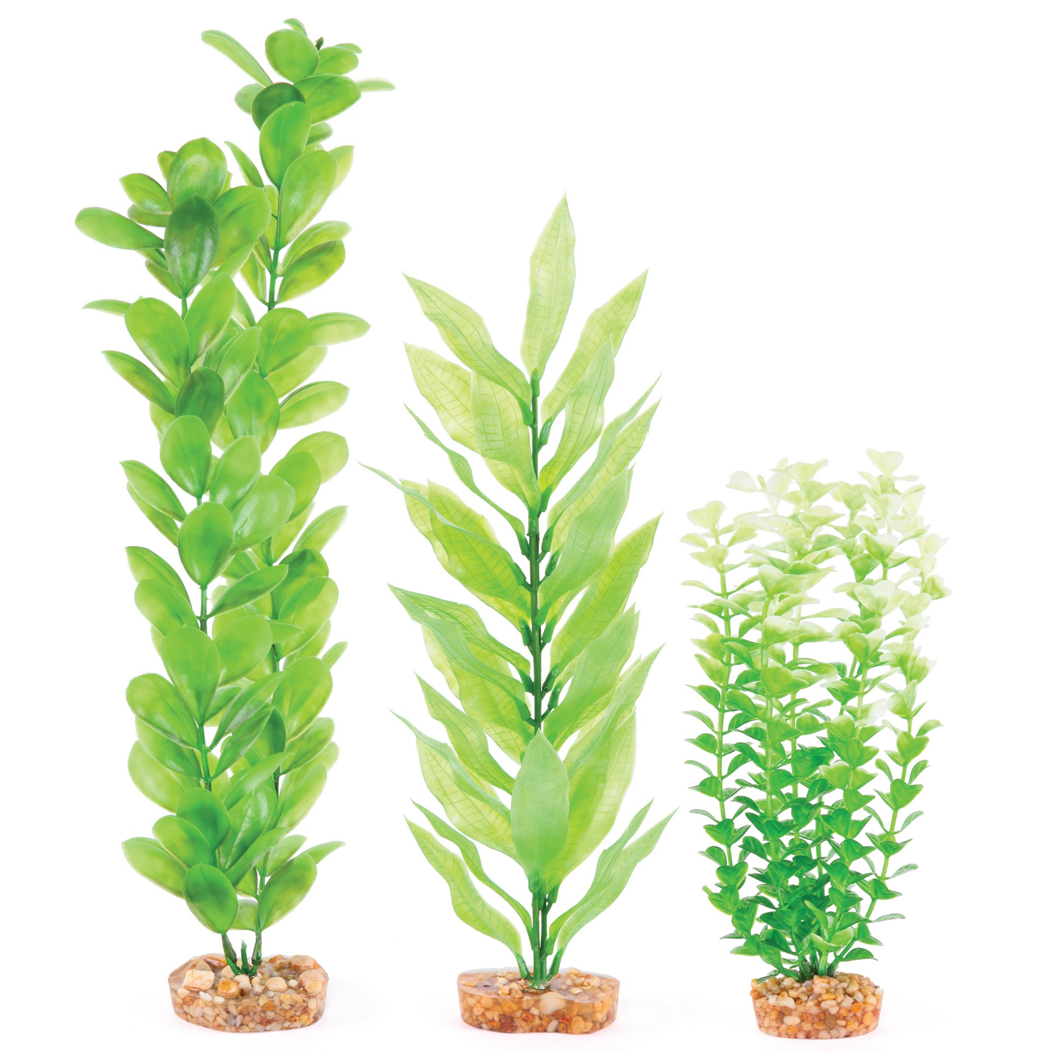 Decorative Plant – Multipack #2