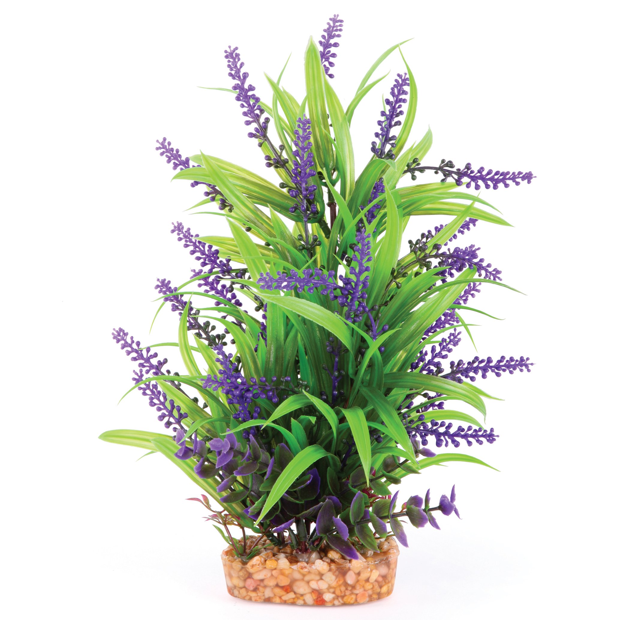 Plush Plant – Thin Leaf With Purple Flower