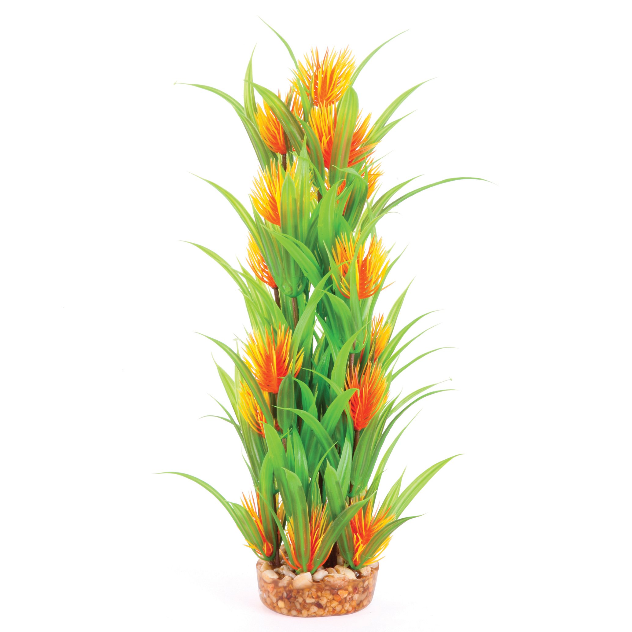 Plush Plant – Thin Leaf With Orange Flower