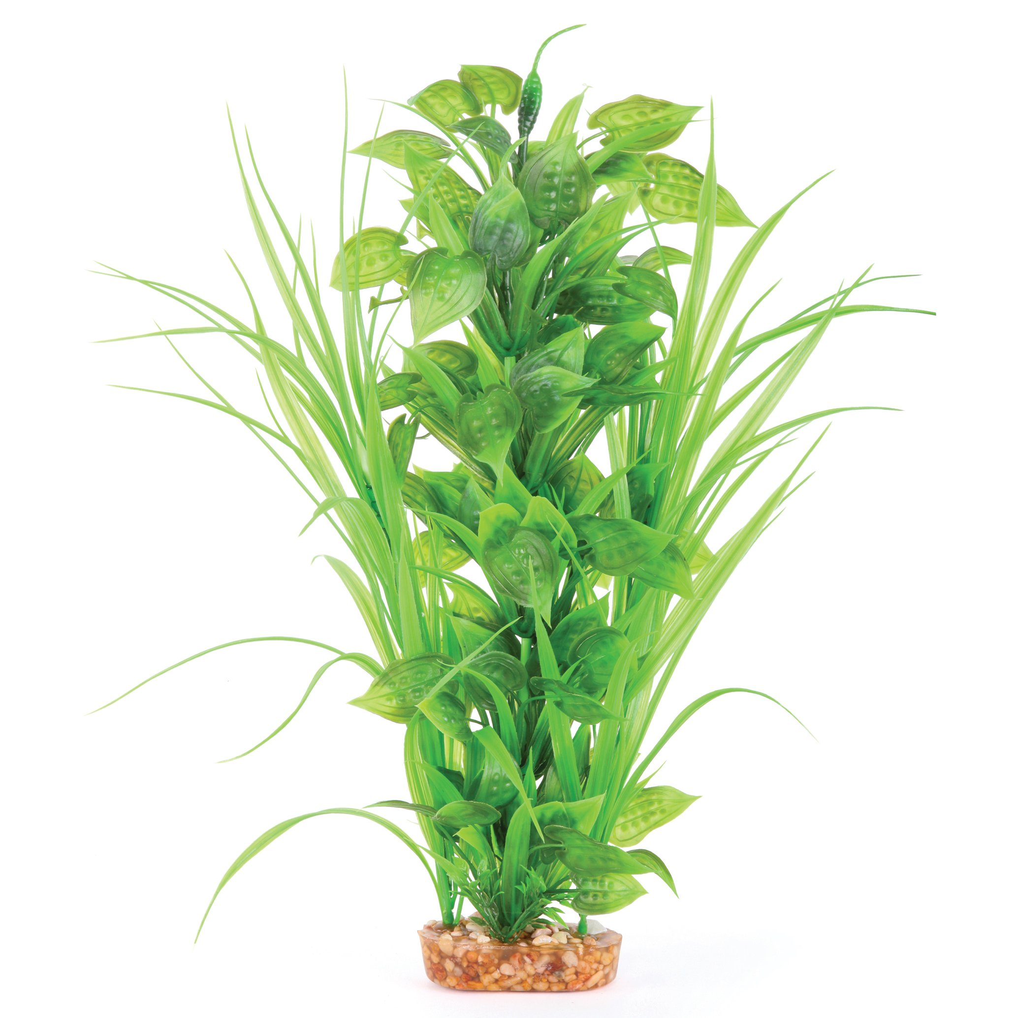 Plush Plant – Thin Leaf With Spot