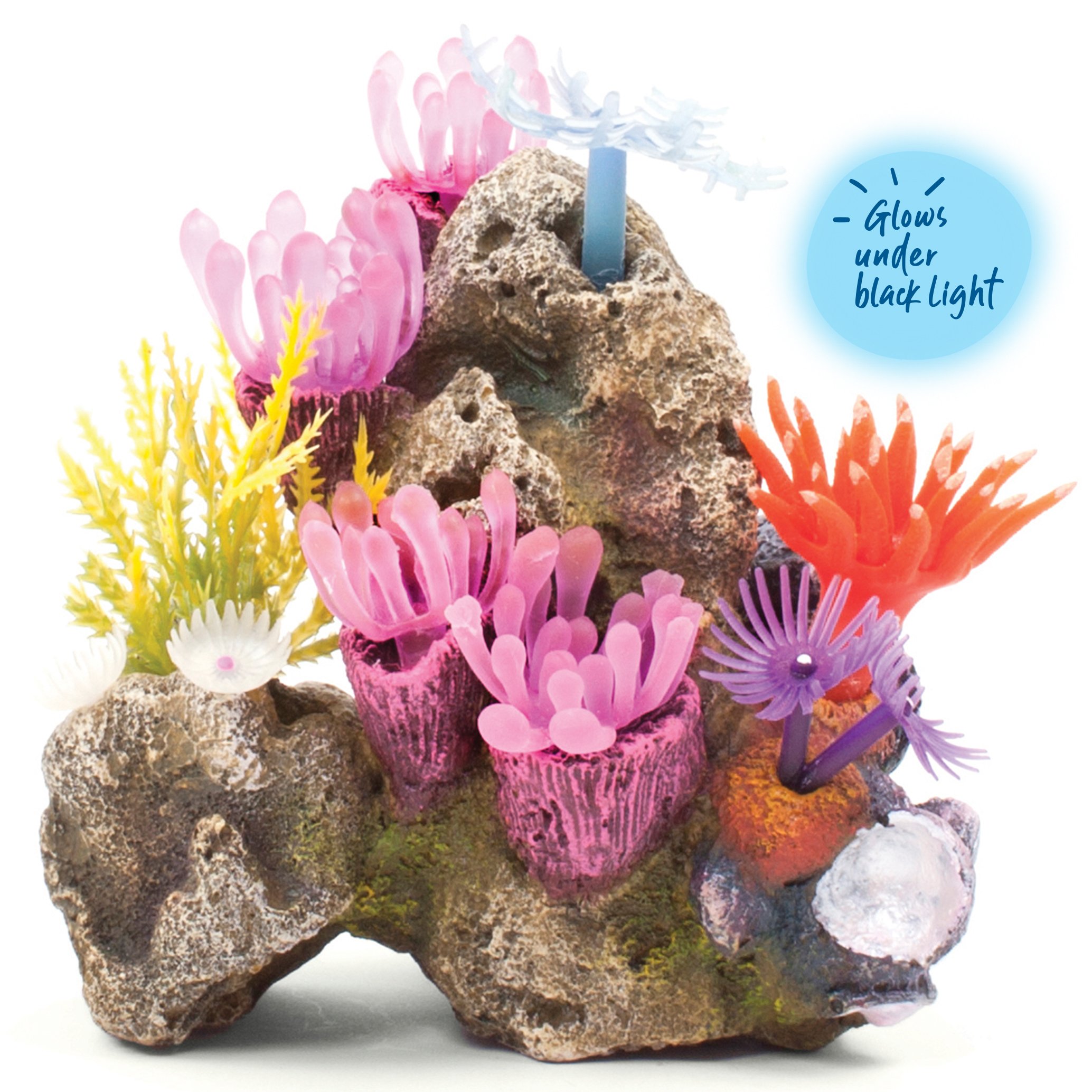 Soft Coral Garden With Rock – Small