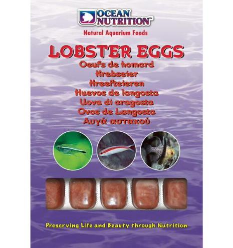 Lobster Eggs