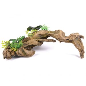 Driftwood with Plants