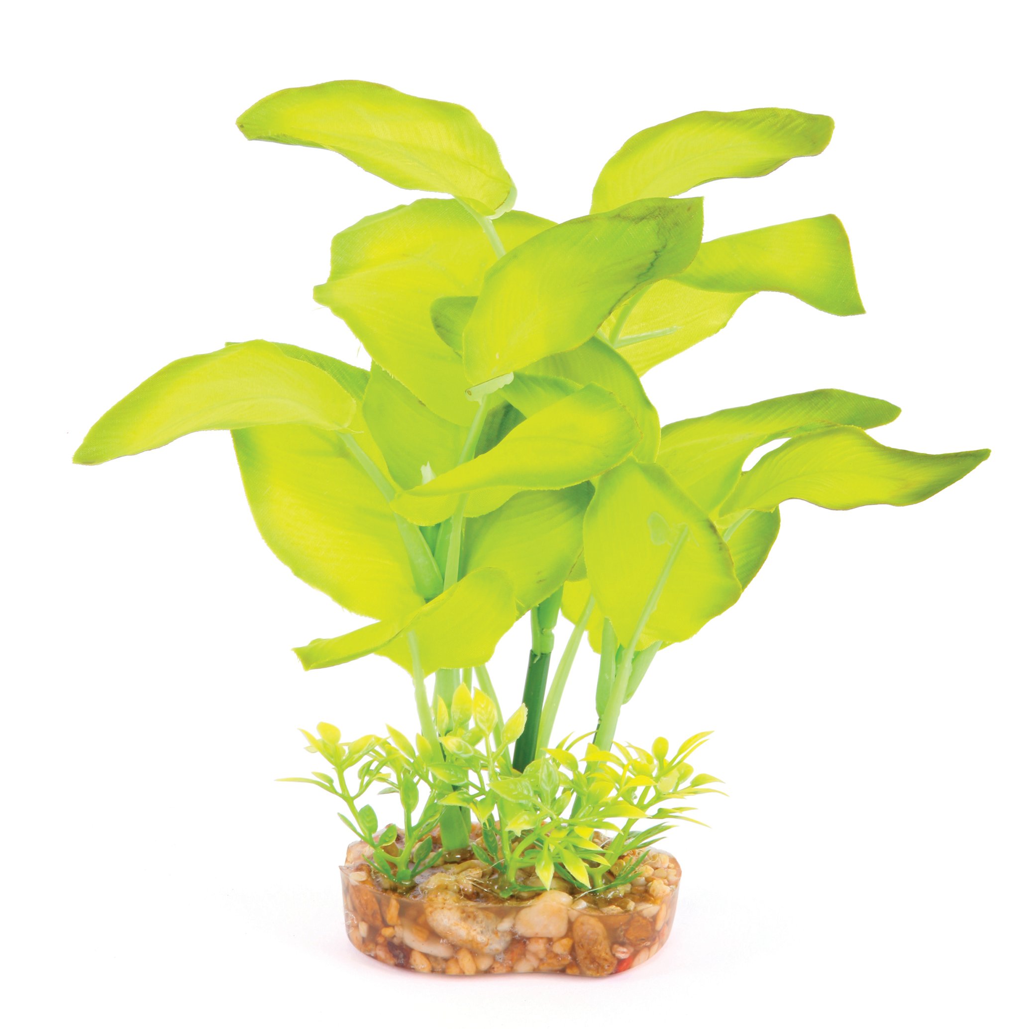 Silk Plant – Leaf Green