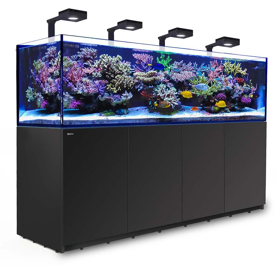 Red Sea REEFER 3XL 900