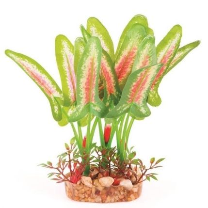 Silk Plant – Thin Leaf Green/Red