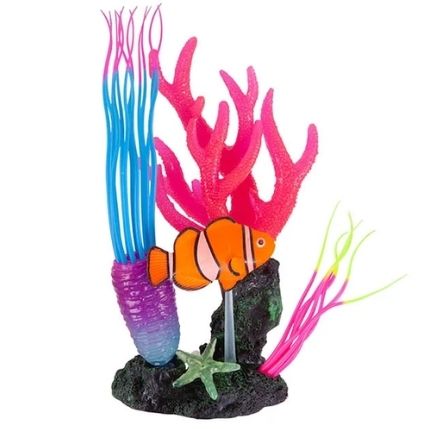 Coral Garden With Clown Fish & Air