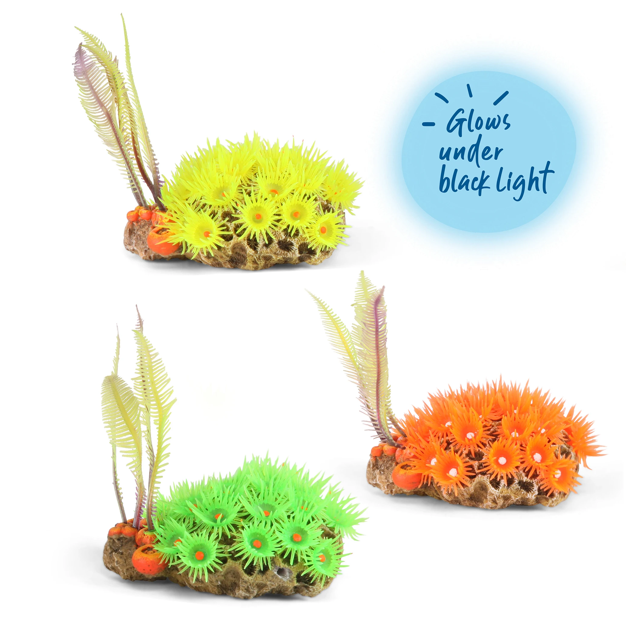 Soft Coral With Ferns – Medium