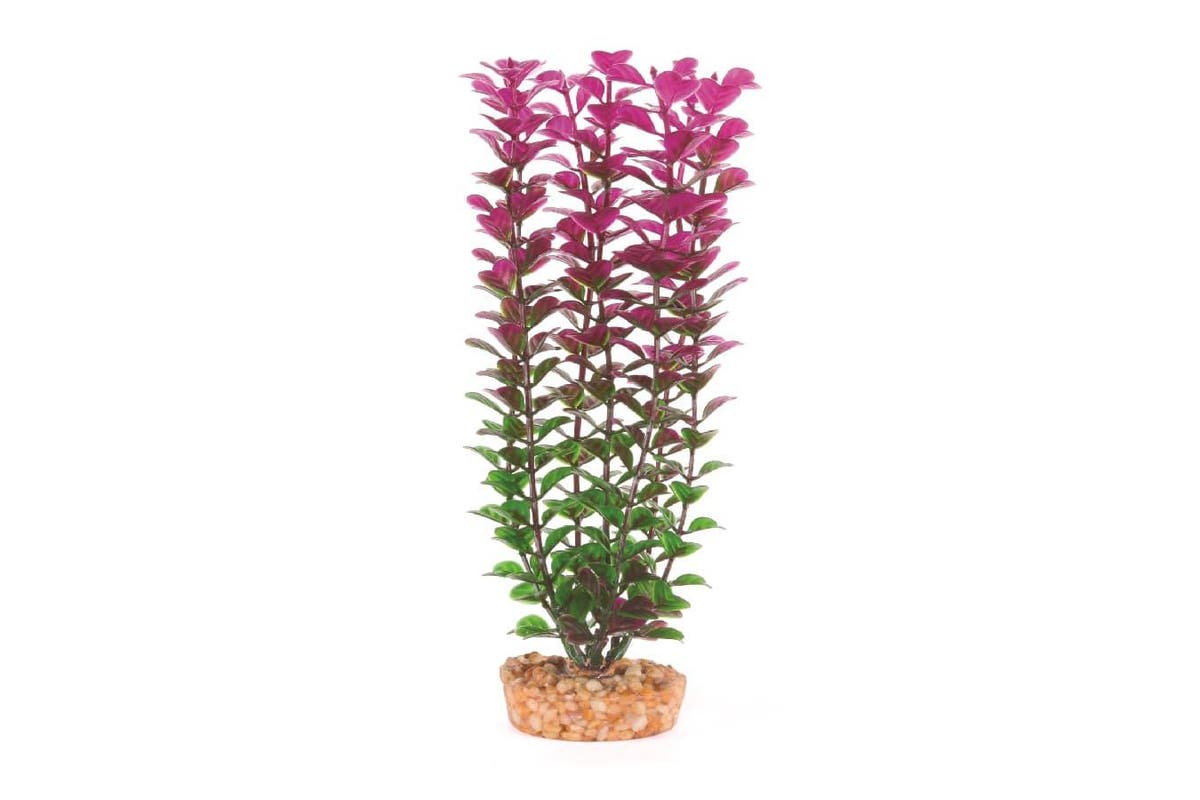 Plastic Plant – Small  Leaf Purple/White