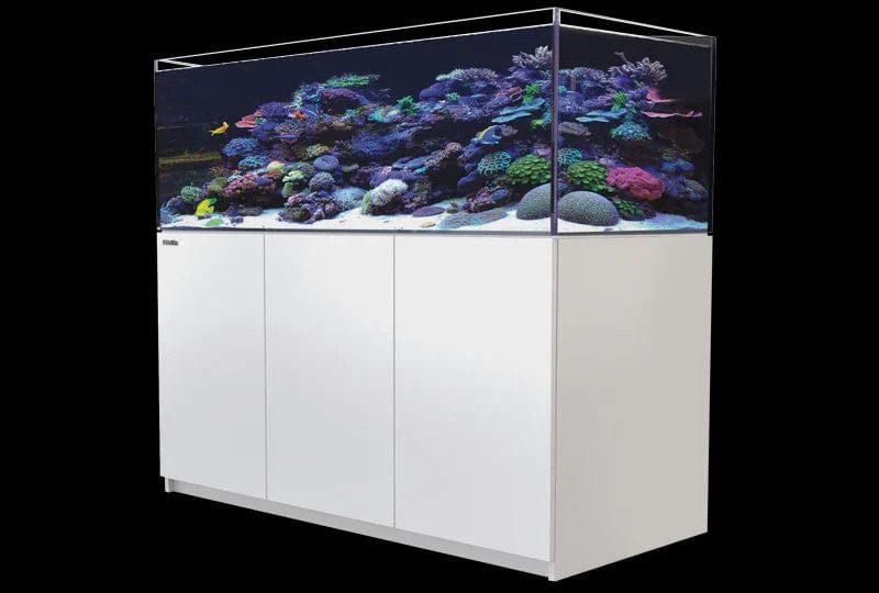 Red Sea Reefer G2 525 White