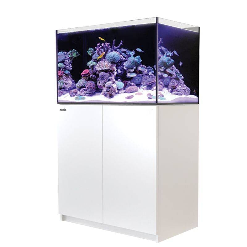 Red Sea Reefer G2 250 White