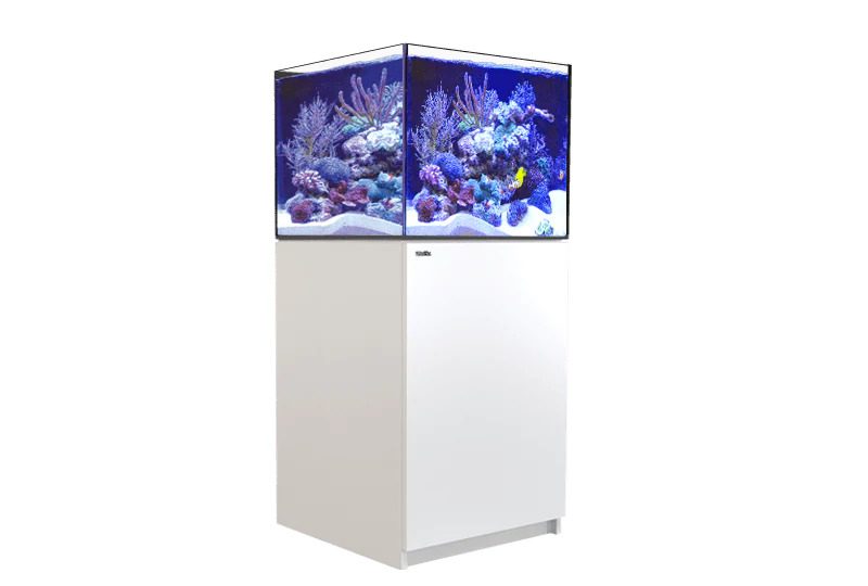 Red Sea Reefer G2 200 White