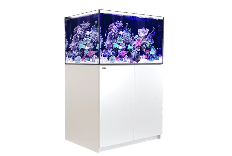 Red Sea Reefer G2 300 White