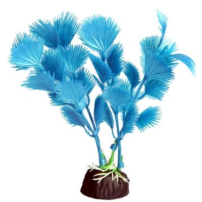 Bettascape Blue Fan Palm