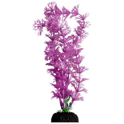 Brightscape Medium Purple Ambulia