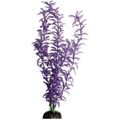 Brightscape XLarge Purple Ludwigia