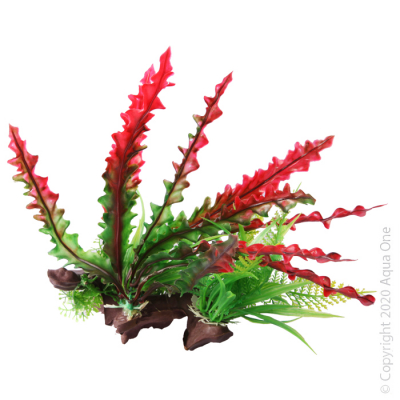 Ecoscape Ferns on Driftwood Red and Green