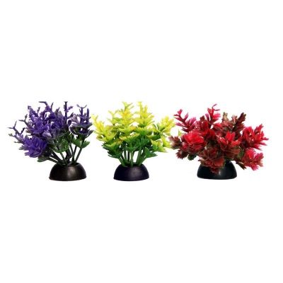 Ecoscape Foreground Catspaw Pack of 4