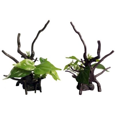 Ecoscape Green Devils Ivy Driftwood