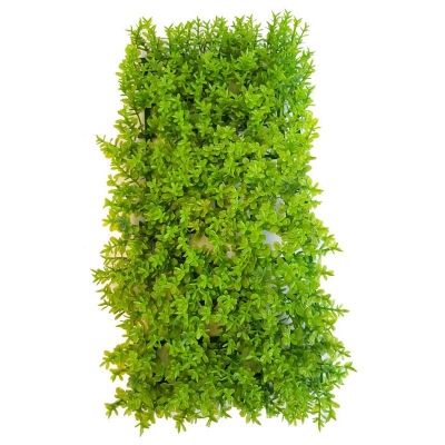 Ecoscape Green Glossostigma Mat