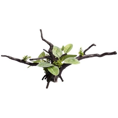 Ecoscape Green Ignotous Driftwood