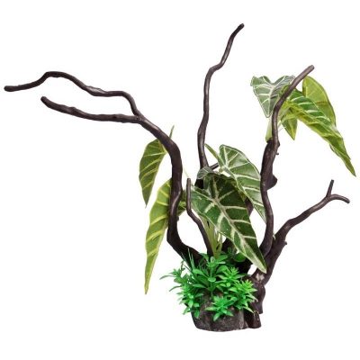Ecoscape Green Philodendron Driftwood
