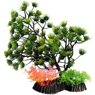 Ecoscape Medium Green Umbrella Pine