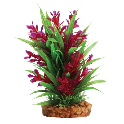 Red Ludwigia/Green Sword with Gravel Base
